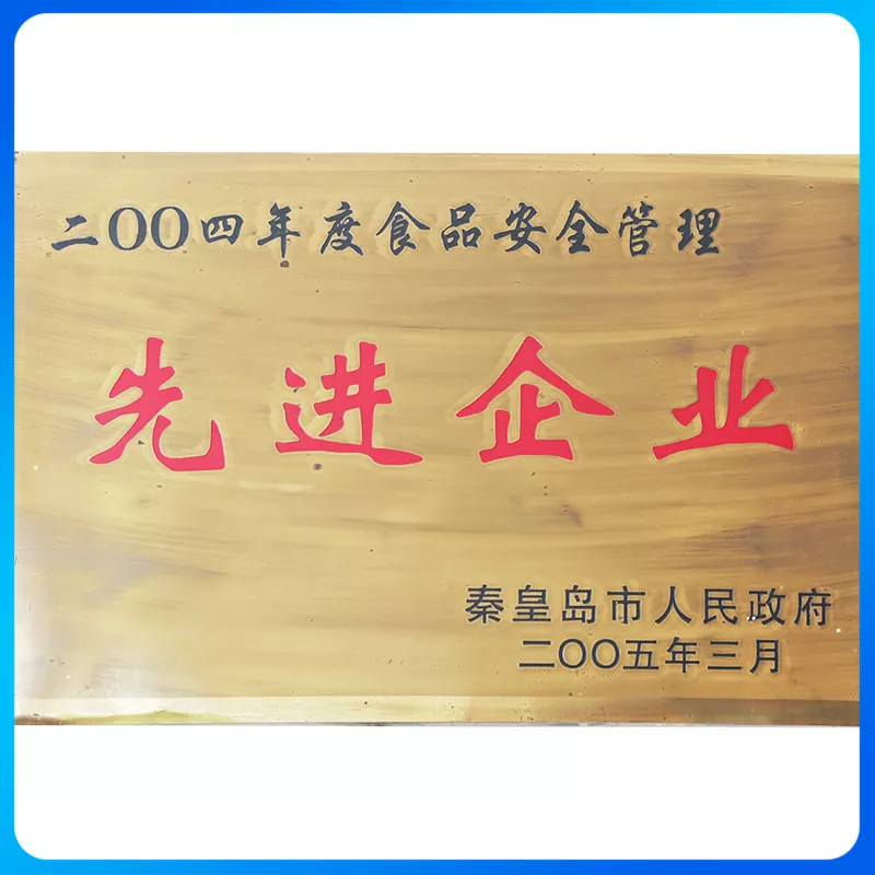 2004先进企业.jpg