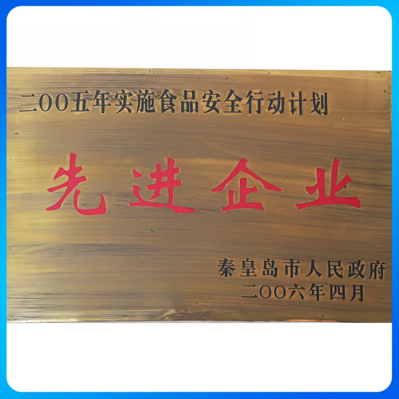 2005先进企业.jpg